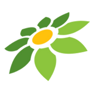 APK CHIKII MOD